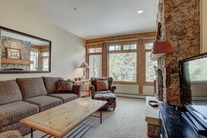 Fireplace, DVD player