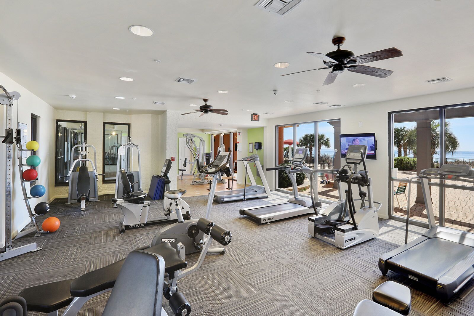 A gym with treadmills, elliptical machines, and free weights.