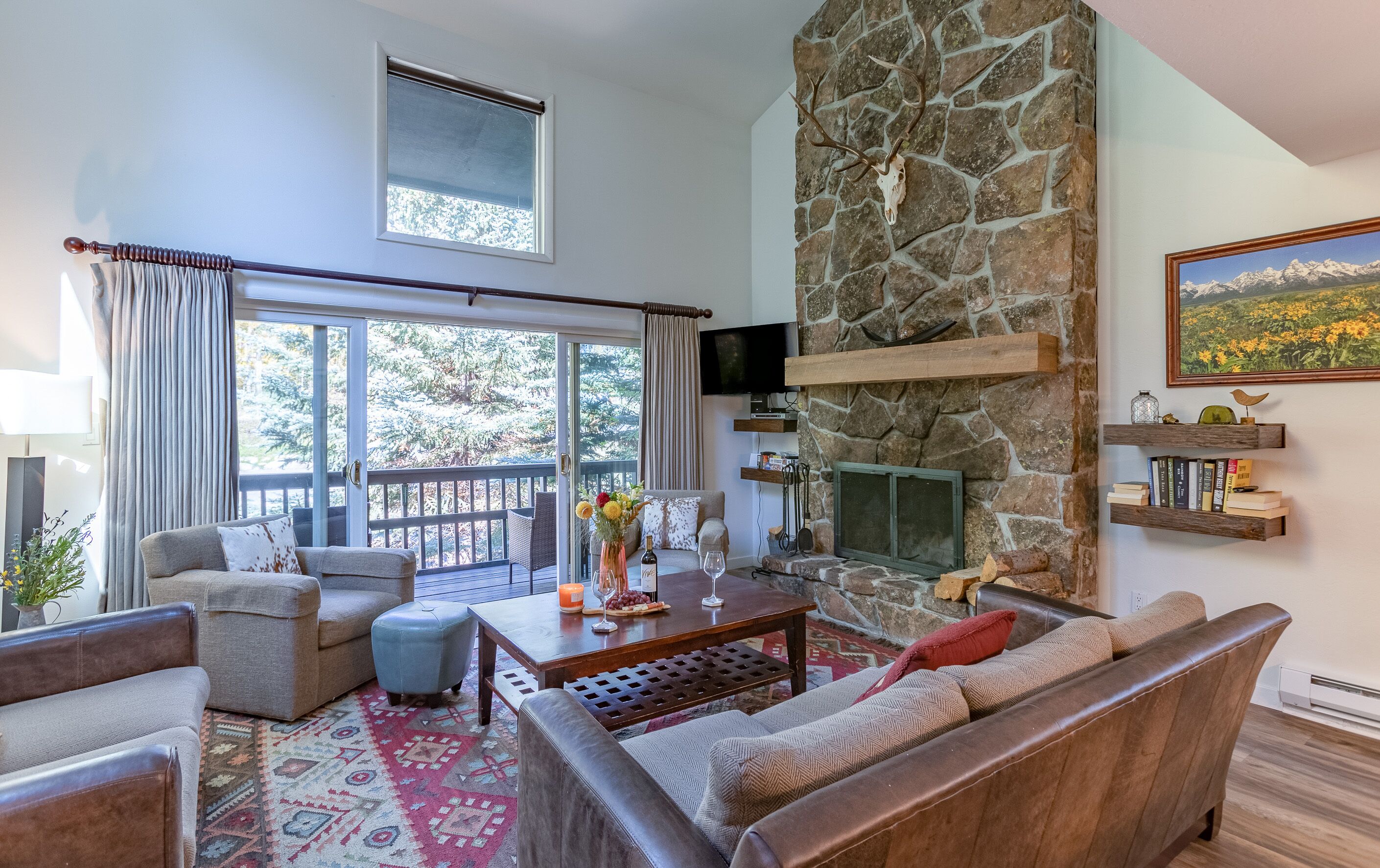 TV, fireplace, DVD player, books