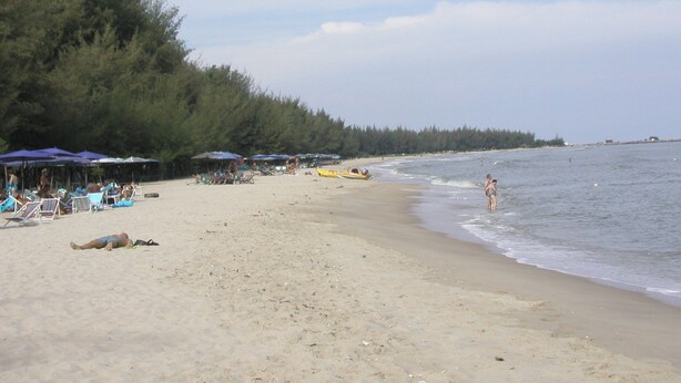 Ein Strand mit Reihen von Liegestühlen und Sonnenschirmen, ein sandiger Uferstreifen und ein bewaldeter Bereich im Hintergrund.