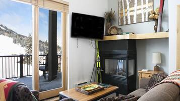 智能電視、壁爐、DVD 播放機、書籍