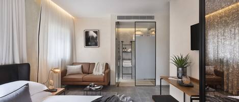 Deluxe | Living area