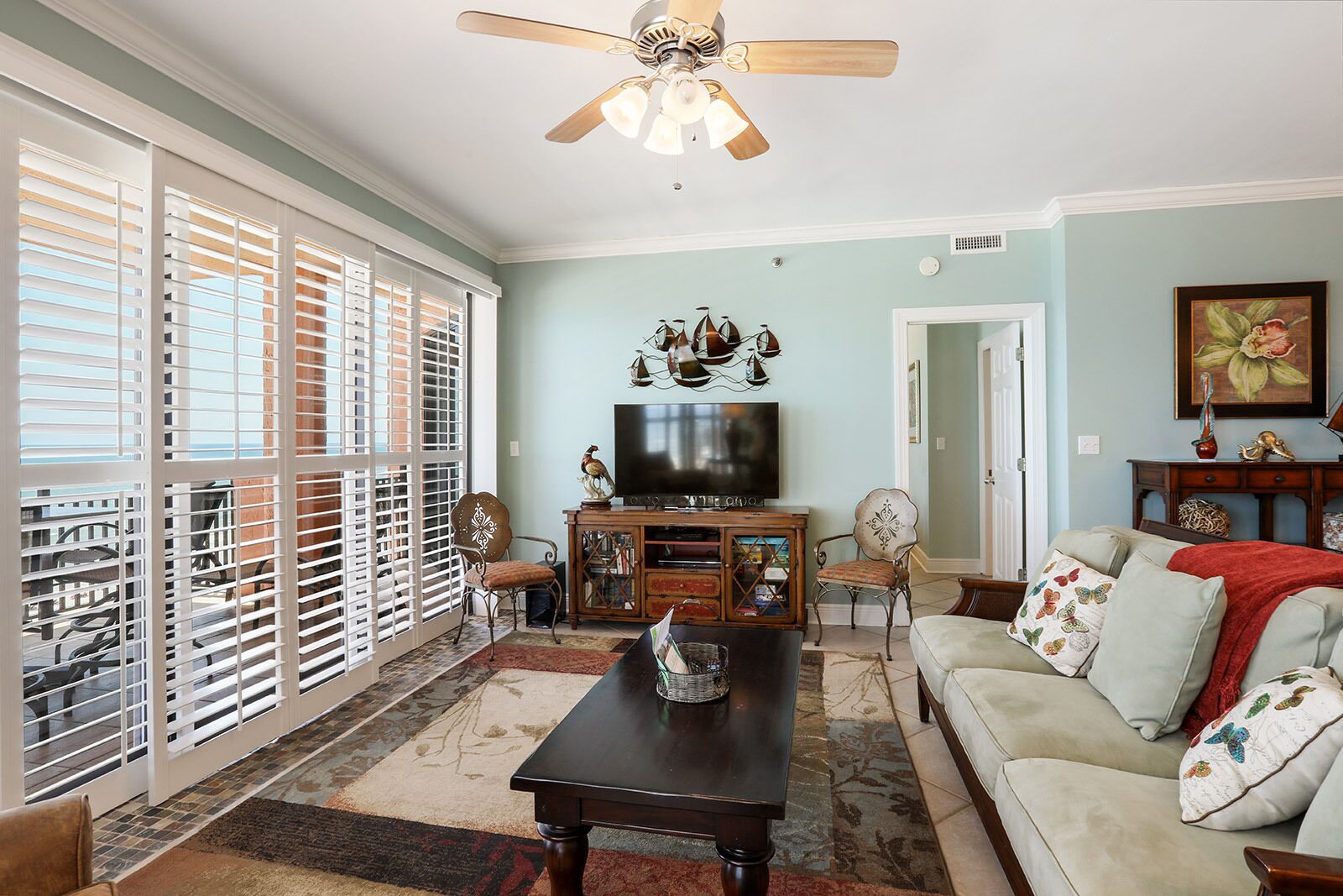 Télévision, lecteur de DVD, livres