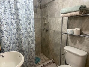 Shower, hair dryer, towels, shampoo - FULLY EQUIPPED APARTMENT!/ High speed wifi (Chihuahua)