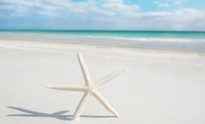 On the beach