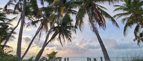 靠近海滩