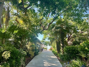 Property grounds - Hemingways Atlantic Retreat overlooks Smathers Beach upgrades galore Key West (Key West)
