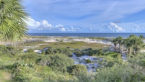 Et kystlandskab med en træpromenade, frodig vegetation og et klart havblik.