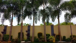 A row of palm trees aligned with a beige wall, with various shrubs and plants in front. - El Vistra Travellers Inn & Coffee Shop (Calumpit)
