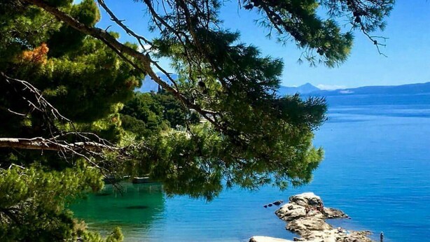 Una playa costera con aguas turquesas cristalinas, afloramientos rocosos y palmeras.
