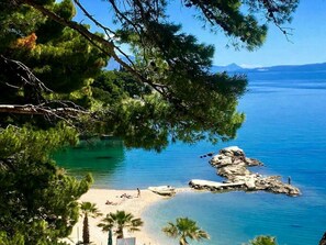 A coastal beach with clear turquoise waters, rocky outcrops, and palm trees.