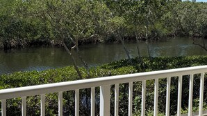 Een balkon met uitzicht op een mangrovebos en een wateroppervlak.