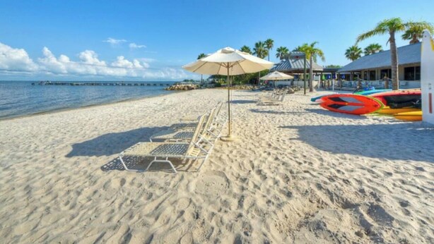 Een strand met ligbedden, parasols en kajaks.