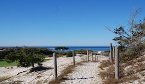 Una playa arenosa con una vista despejada del océano, un sendero cercado y vegetación escasa.