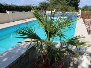 Une piscine avec un palmier au premier plan.