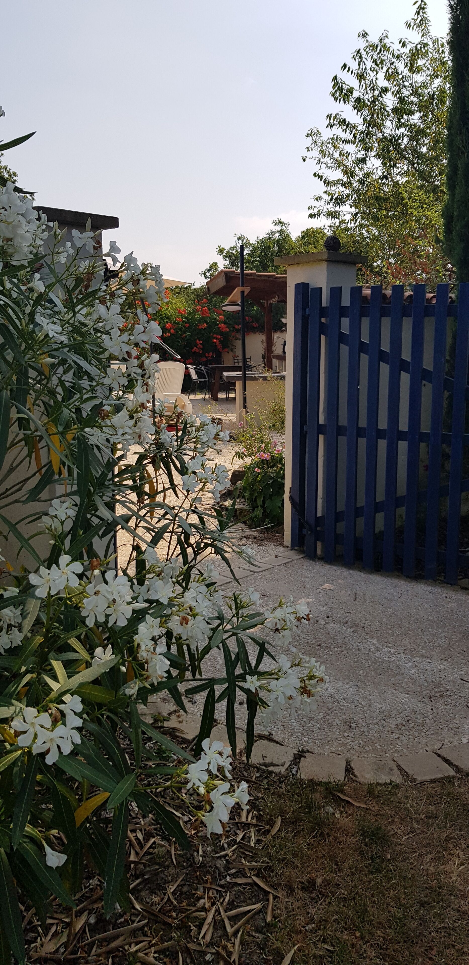 Terrein van de accommodatie