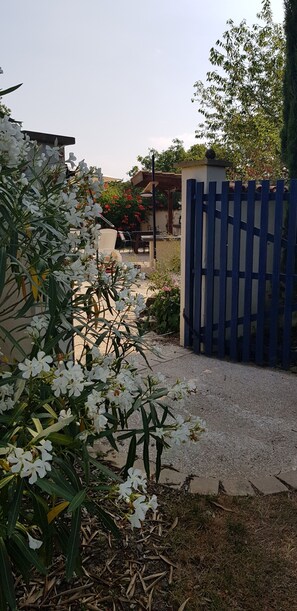 Terrain de l’hébergement 