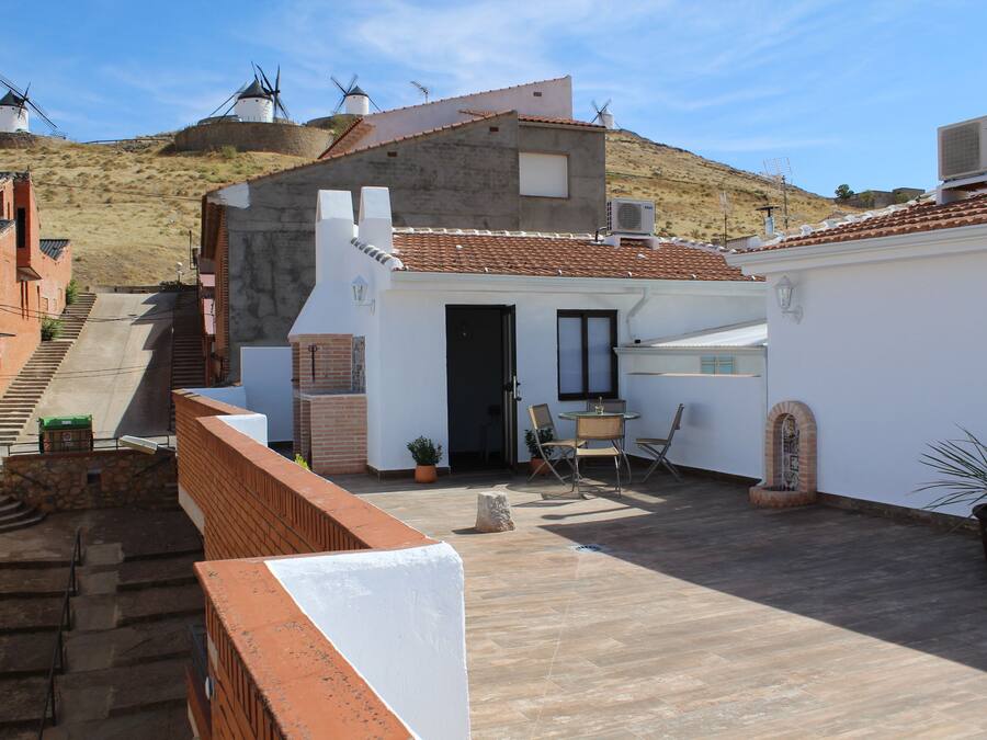 A rooftop terrace with a dining area, a small garden, and windmills in the background.