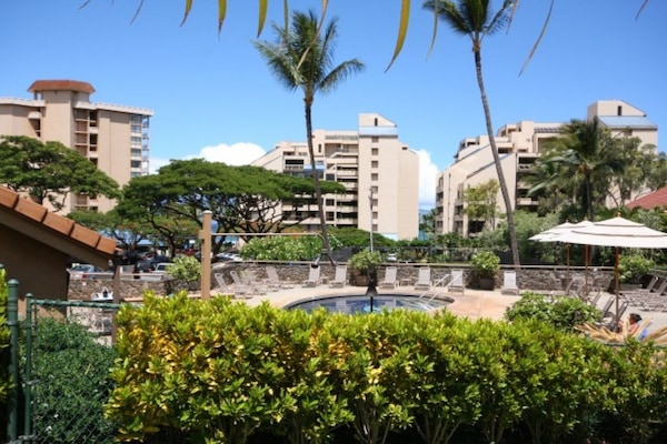 Wonderful pool and bbq area.