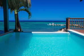 Pool - Fun Beachfront Home in Gated Community – For Groups/Families (Sandy Bay)