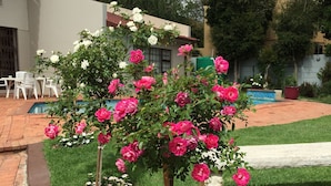 Un jardin avec un petit arbre aux fleurs roses, une statue blanche et un chemin bordé de briques.
