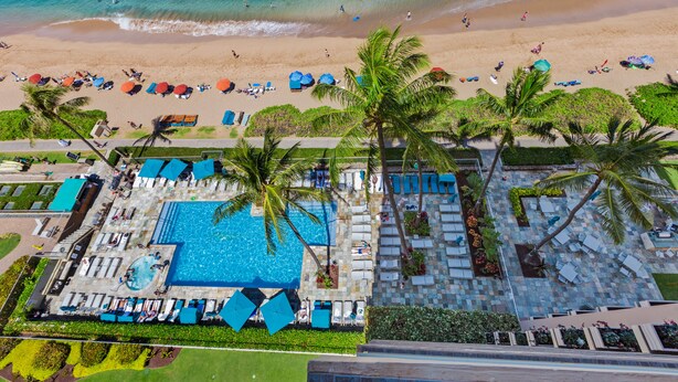 Un complexe hôtelier doté d’une piscine, d’une plage et de palmiers.