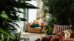 A cozy indoor seating area with a sofa and armchairs, surrounded by lush greenery and a glass coffee table. - BEAUTIFUL VILLA IN THE HEART OF Playa den Bossa<br>ETV-2047-E (Playa den bossa, San jordi de ses Salines, IBIZA)
