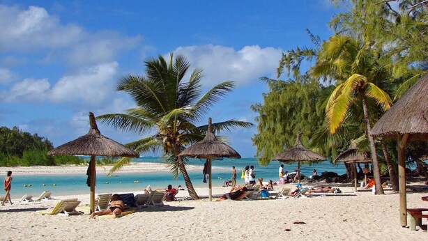 A beach with thatched umbrellas, palm trees, and people relaxing on the sand. - Golden Rod Villa, a fabulous establishment typical of the island mauritius! (flacq)