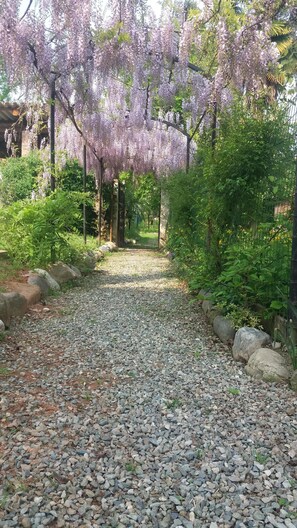 Parco della struttura