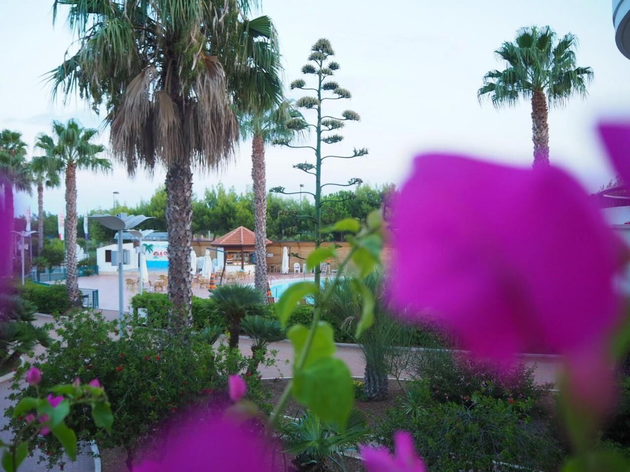 Photo - Oasiclub Hotel