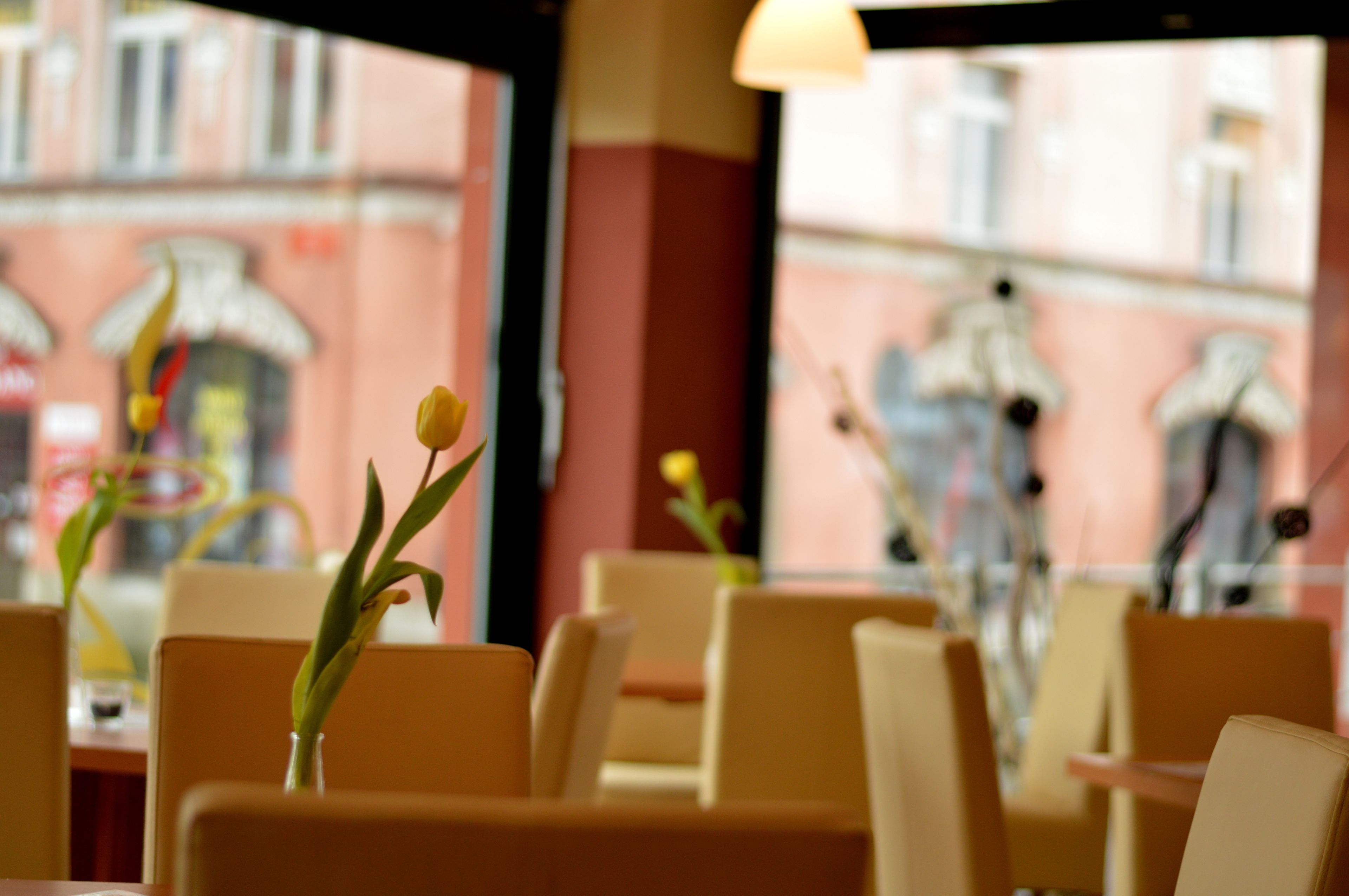Ein Restaurantinnenraum mit Tischen und Stühlen, einer Vase mit einer einzelnen Blume und Blick auf ein Gebäude mit einer rosafarbenen Fassade und Fenstern.