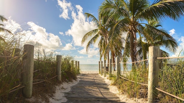 A wooden pathway leading to a beach with palm trees and a clear sky.
