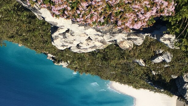 A coastal landscape with a clear blue sea, white sandy beach, and rocky cliffs with vegetation.