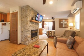 TV, fireplace, DVD player