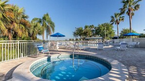 A circular pool with lounge chairs and umbrellas, surrounded by palm trees and a white fence.