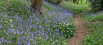 Gerstenhaus, (Kornkammerhäuser) in einer alten umgebauten Scheune Chiddingly, Lewes