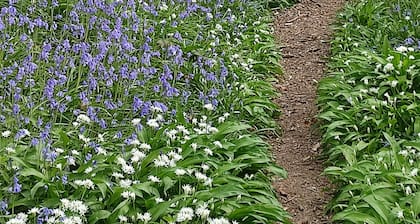 Gerstenhaus, (Kornkammerhäuser) in einer alten umgebauten Scheune Chiddingly, Lewes