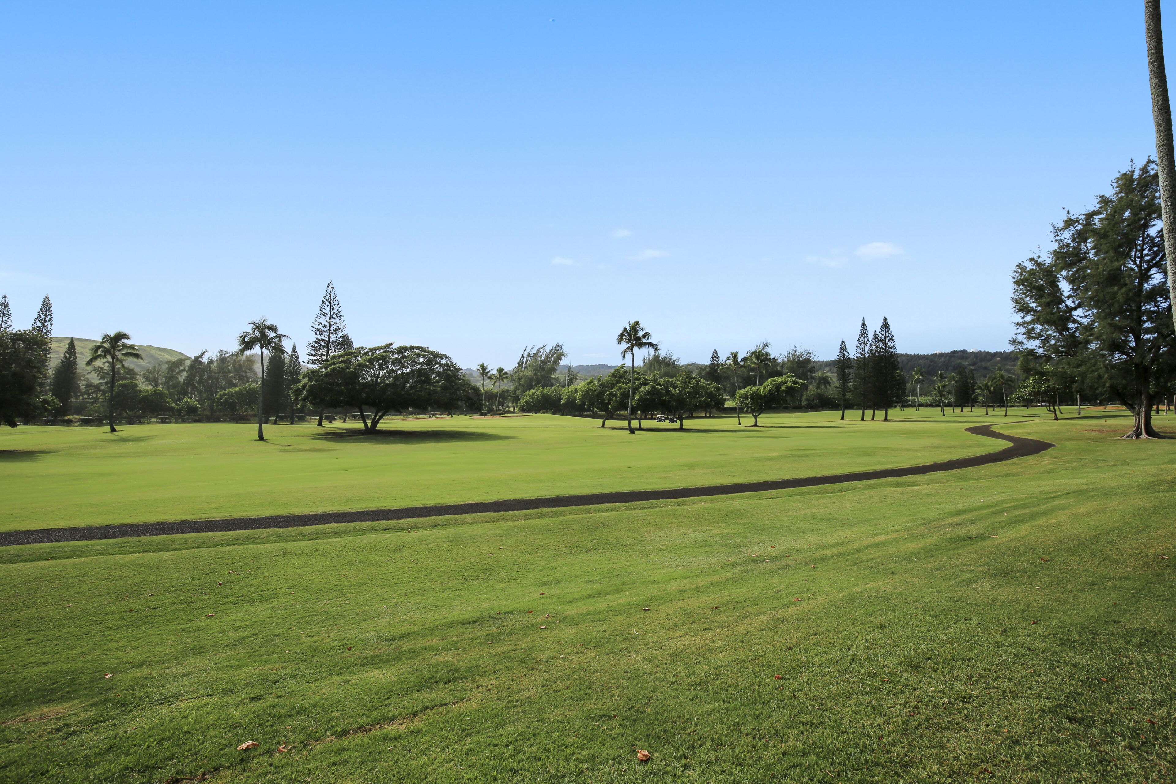 Un parcours de golf avec une pelouse bien entretenue, des arbres et un ciel dégagé.