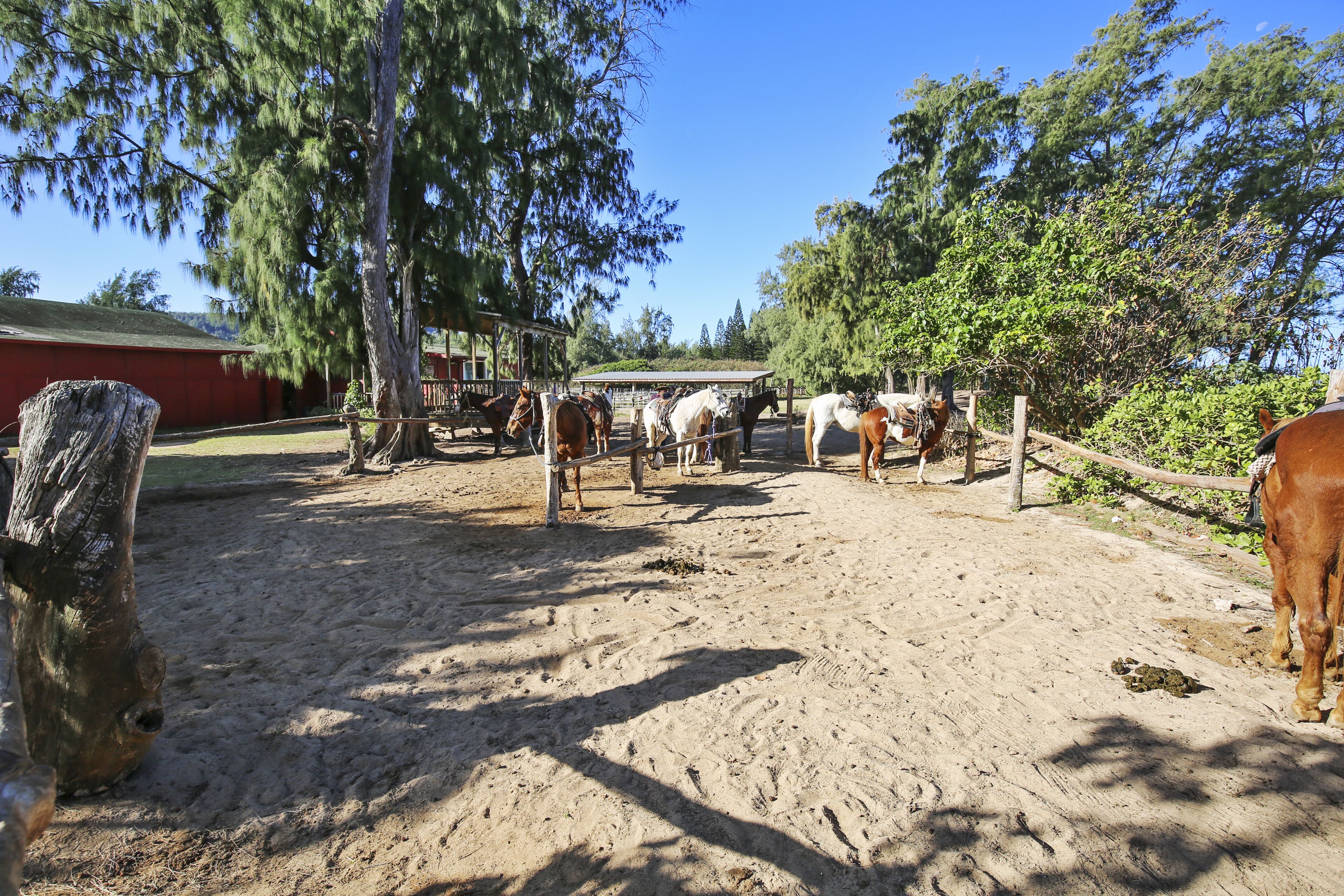 Overnattingsstedets uteområder