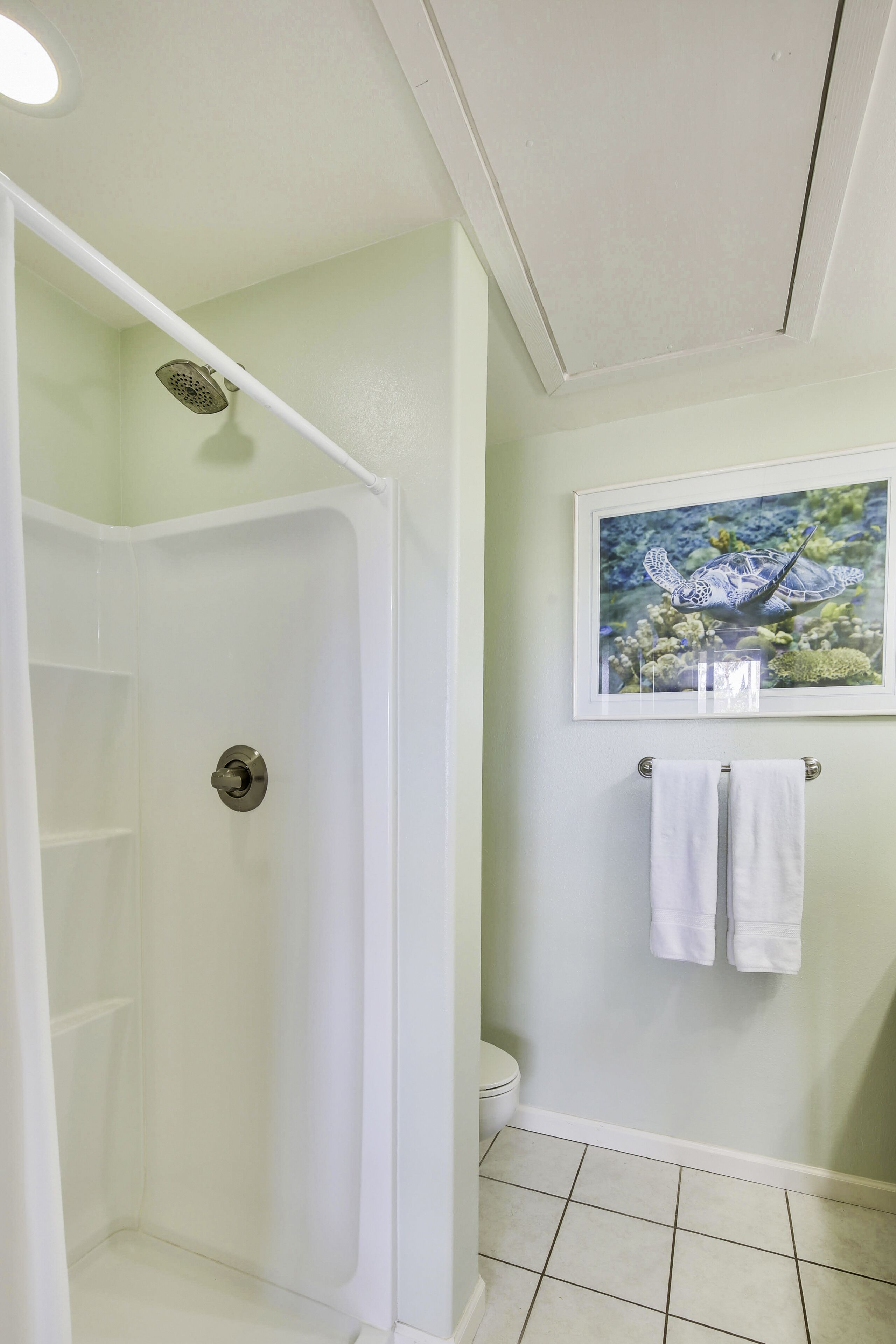 Ein Badezimmer mit Dusche, Toilette und einem gerahmten Bild an der Wand.