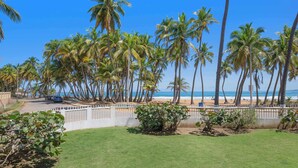 A beach view with palm trees and a road with cars.