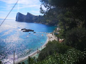 Plage à proximité, chaises longues, serviettes de plage