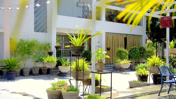 Um pátio com plantas em vasos, uma cadeira azul e um edifício com janelas amplas e uma varanda.