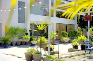 Jardim