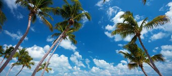 Botanical Island Delight  Key West fantastic discounts for Summer & Fall