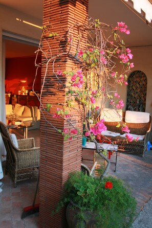 Terraza o patio