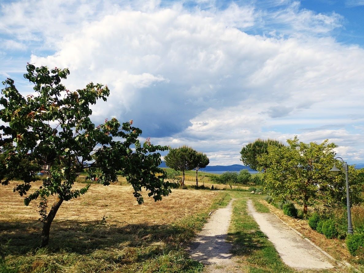 A rural landscape with a dirt path, trees, and a clear sky.