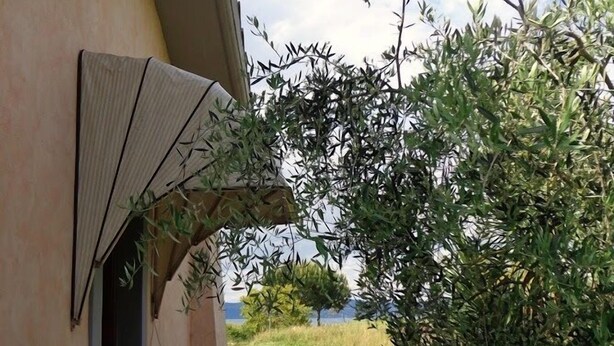 Ein Haus mit überdachter Veranda, einem Blumentopf und Blick auf eine Wiese und Bäume.