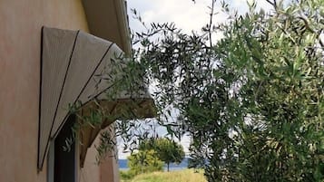 Terraço/pátio