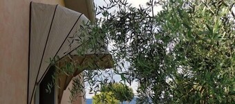 Agriturismo Fontelupo